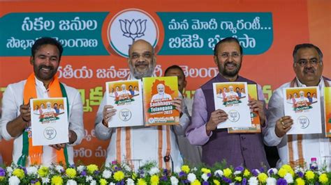 ‘Silent wave in BJP’s favour, our manifesto addresses all sections ...