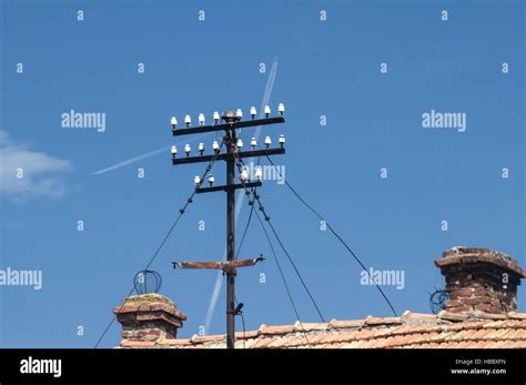 Electrical pillar on tiled roof Stock Photo - Alamy