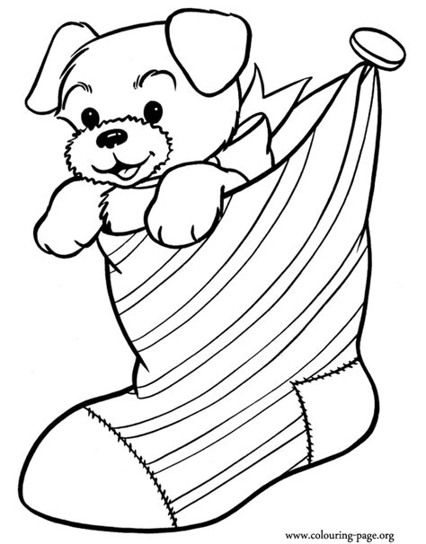 Christmas - Puppy inside a Christmas stocking coloring page