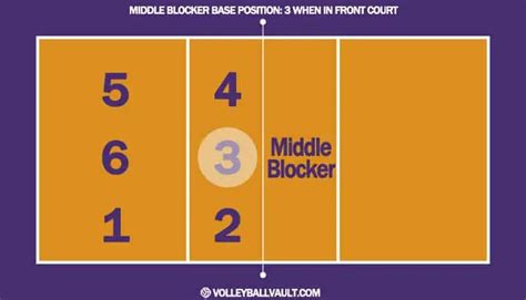 Middle Blocker Volleyball Position: Everything You Need To Know