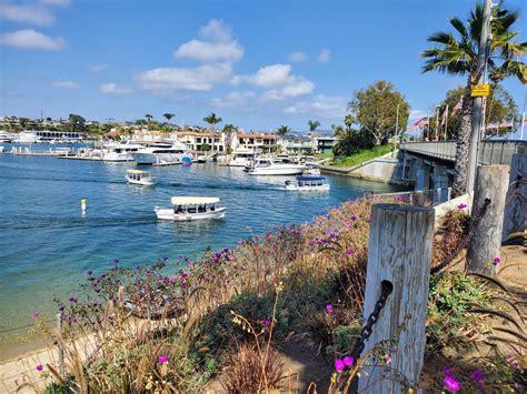 Dock and Dine Your Way Through Newport Beach!