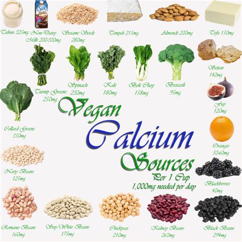 Where Do Vegans Get Their Calcium? - Ater Imber