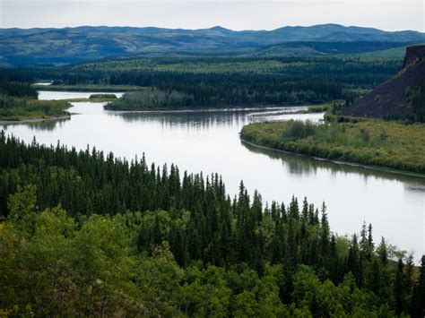 Yukon River 2019 « Canoe North Adventures
