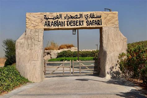 Dubai Safari Park Tickets and Tours [COVID-19 Update]