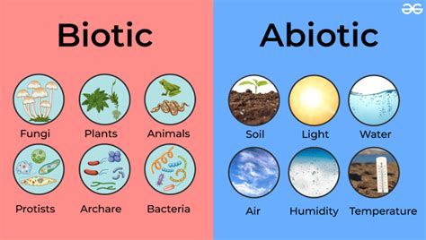 What are the Biotic and Abiotic resources? - GeeksforGeeks