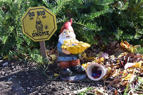 Real Gnomes Sightings