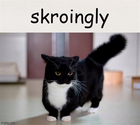 skroingly - Imgflip