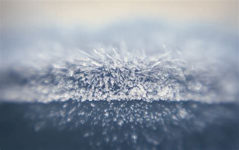 Frost Crystals forming image - Free stock photo - Public Domain photo ...