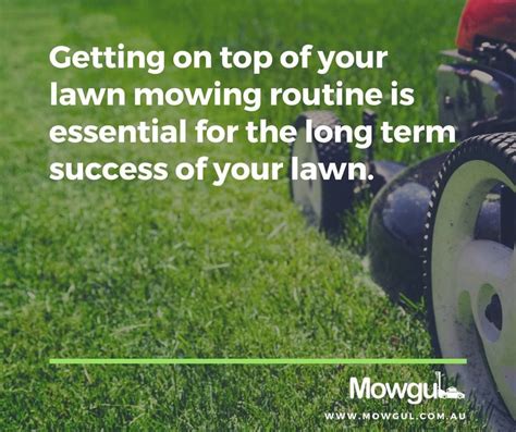 Regular lawn mowing keeps your lawn looking nice and tidy. #lawnmowing ...