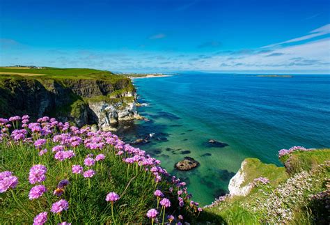 Make the most of your trip with the best beaches in Ireland | KAYAK