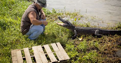 New Orleans Swamp & Bayou Boat Tour | GetYourGuide