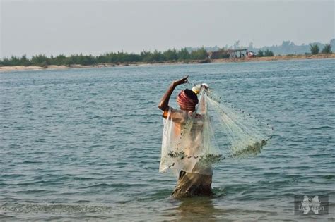 Foto 2 Chilka Lake Fishing - India Travel Forum | IndiaMike.com