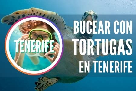 Buceo con tortugas en Tenerife. Una experiencia incomparable