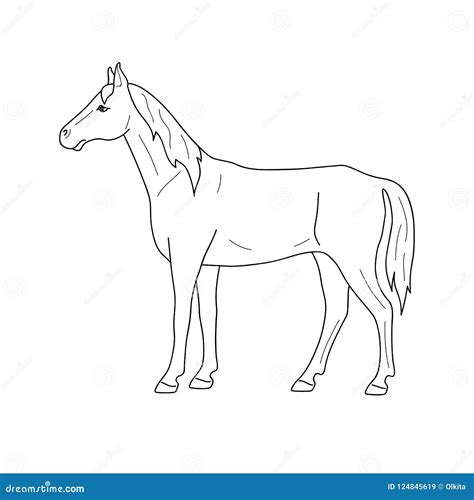 Isolated Black Outline Standing Horse on White Background. Side View ...