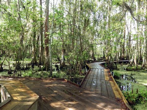 This One Easy Hike in New Orleans Will Lead You Someplace Impressive ...