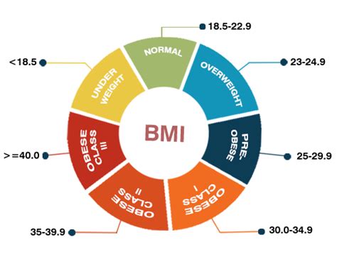 Are You A Candidate For Weight Loss Surgery? Find Out With A BMI Calculator - Alternative Drugs