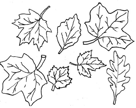 Leaves Coloring Pages Printable - Coloring Home