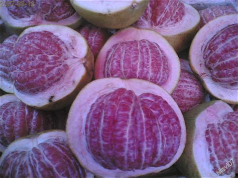 Pomelo (Suha) | The pomelo (or Chinese grapefruit, pummelo, … | Flickr