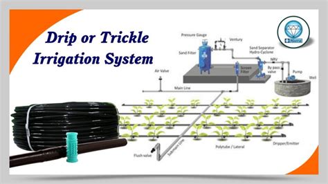 Drip Irrigation or Trickle Irrigation System (ड्रिप इरिगेशन)