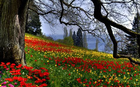 Beautiful Spring Wallpapers - Wallpaper Cave