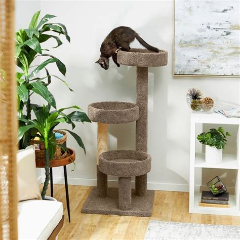 Frisco 50-in Real Carpet Wooden Cat Tree, Gray - Chewy.com