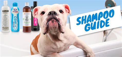 Dog Shampoo Helpful Guide | christies pet grooming