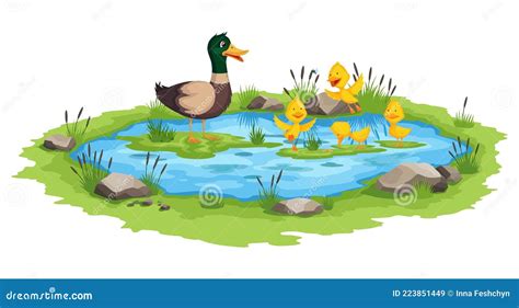 Pond With Cartoon Frogs And Tadpoles. Pond Overgrown With Flowering ...