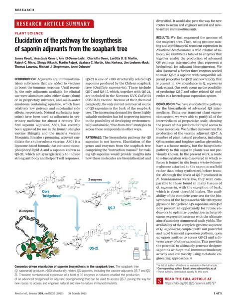 (PDF) Elucidation of the pathway for biosynthesis of saponin adjuvants ...