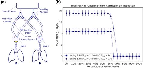 Measurement of the total PEEP on the ventilator, in circuit A and B and ...