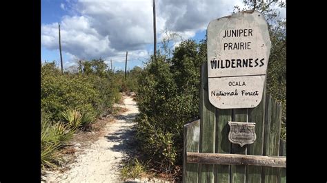 The Florida Trail - Ocala National Forest - Juniper Springs to Hidden Pond - YouTube