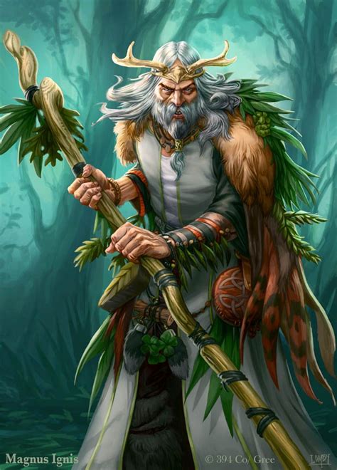 Magnus Ignis - Druid regular by PeterLumby on DeviantArt | Character ...