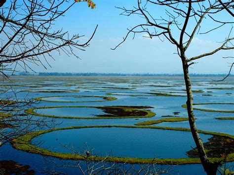 The Shifting, Endangered Islands of India's Loktak Lake | Condé Nast Traveler