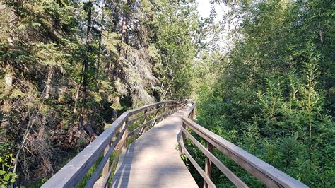 There's so many unique trails to explore in our river valley. : r/Edmonton