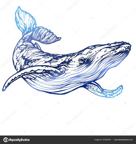 Blue Whale Outline Tattoo