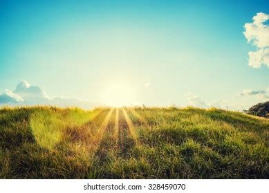 Grass Sunlight Stock Photo 328459070 | Shutterstock