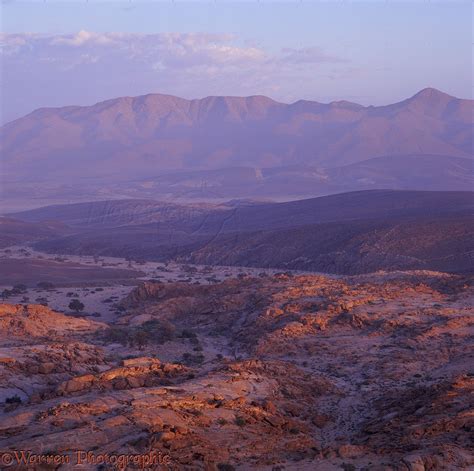 Namib Desert at sunrise photo WP06988