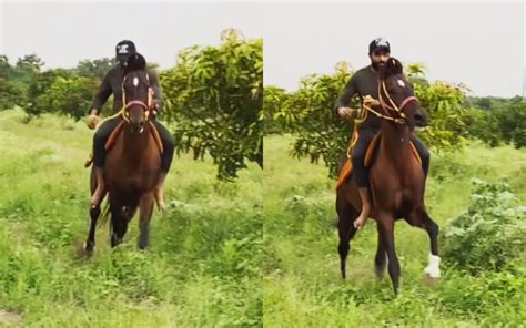 India all-rounder Ravindra Jadeja sharpens his horse-riding skills