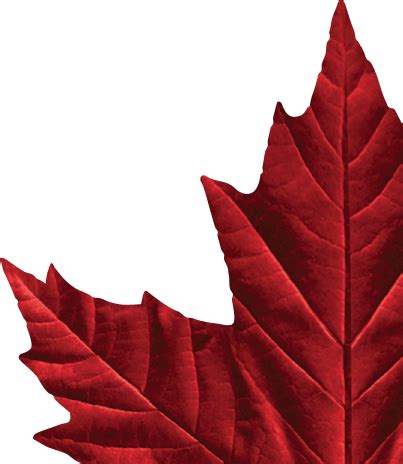 Molson Canadian Logo - LogoDix