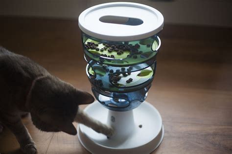 Catit Design Senses Food Maze Cat Feeding Toy Review