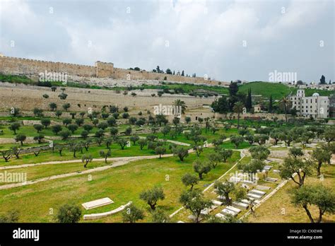 Jerusalem kidron valley and temple High Resolution Stock Photography and Images - Alamy