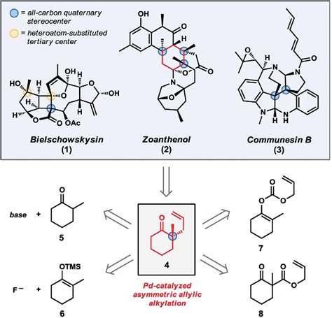 Figure 1 from The Construction of All-Carbon Quaternary Stereocenters ...