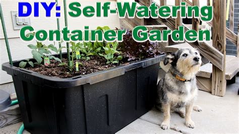 DIY: Self-Watering Container Garden - YouTube