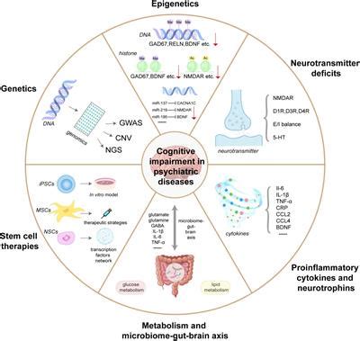 Frontiers | Cognitive impairment in psychiatric diseases: Biomarkers of ...