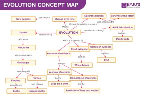 Evolution Concept Map - Understand Concept With Ease.