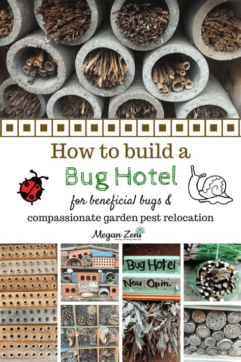 How To Build A Bug Hotel With Kids