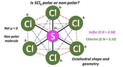 Is SCl6 polar or nonpolar? in 2023 | Molecular geometry, Covalent ...