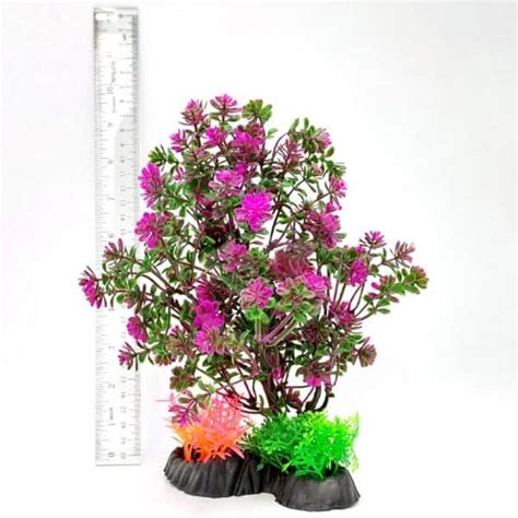 PP BONSAI TREE PURPLE 8 BST11 - Aquatics Unlimited