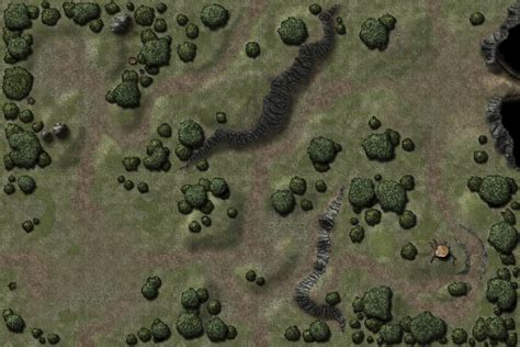 Wilderness Battle Map | Fantasy City Map