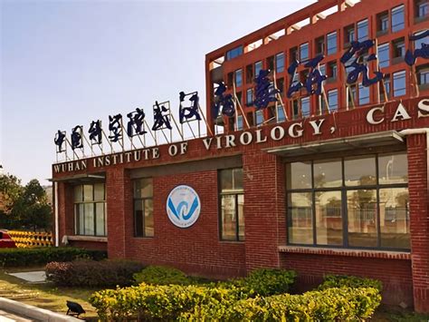 Wuhan Institute of Virology - Wikipedia