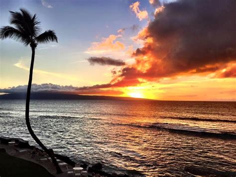 THE 10 BEST Lahaina Vacation Rentals, Condos (with Photos)